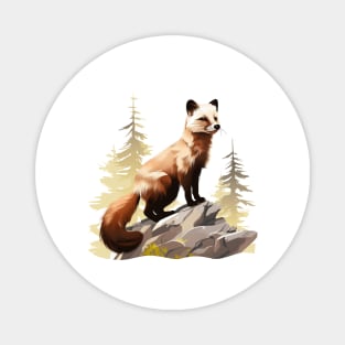 Pine Marten Magnet